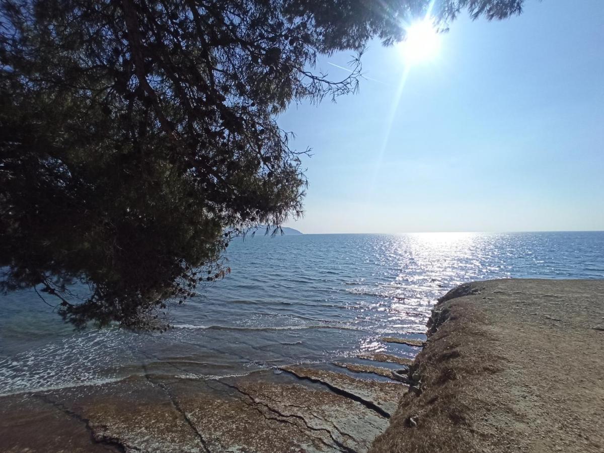 Apartmán Ete Indien - Plage - Wifi - Host Provence La Ciotat Exteriér fotografie